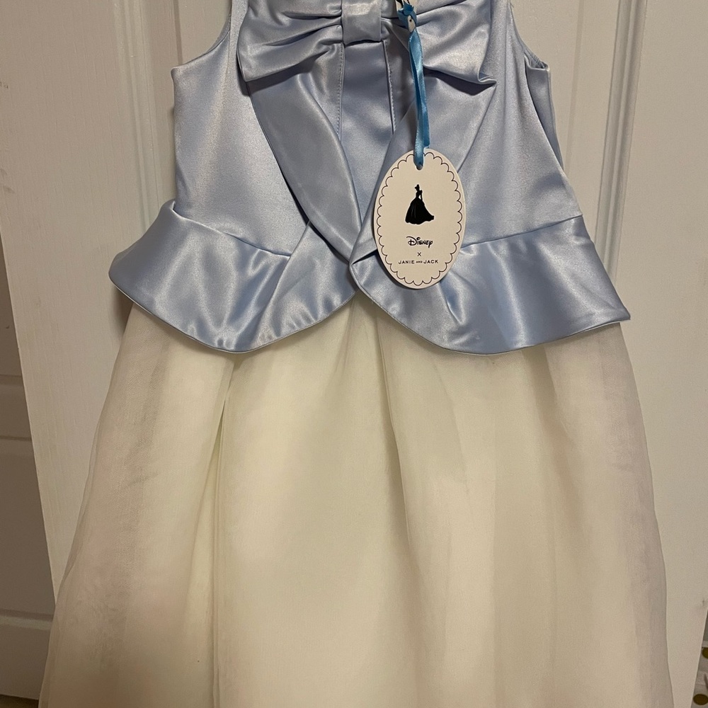 Janie and Jack Cinderella dress